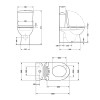 Унитаз напольный Qtap Robin Ultra Quiet безободковый с сиденьем Soft-Close MATT BLACK QT13226083AMB — фото 2